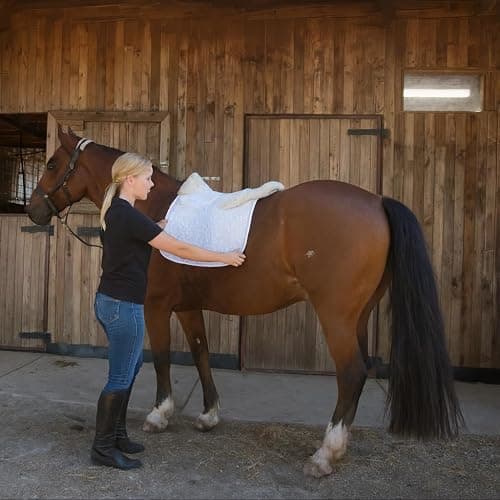 Woolous Dressage Saddle Pad, English Saddle Pad with Sheepskin Trim, Lambskin Wool Fleece Lining, Square Saddle Pad for Equestrian Riding, Comfortable & Shock Absorbing thumbnail 5