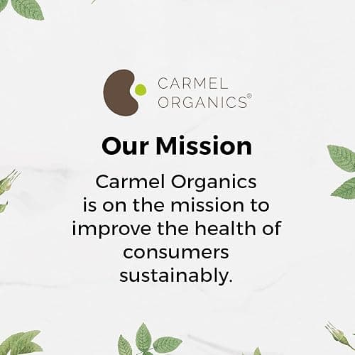 Organic Flax Seeds Whole 8 Ounce or 227g (0.5 Lb) | Non GMO | Kosher | USDA Certified Organic | By Carmel Organics | Unroasted Flax Seed | Plant Based | Linum usitatissimum thumbnail 7