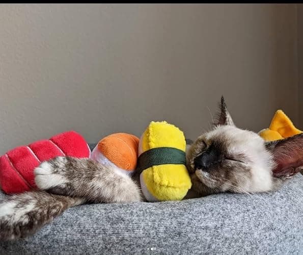 munchiecat Premium Organic Catnip Sushi Toy (1-pc) for Cats, Kittens - USA Made Durable Design for Pouncing, Batting and Play thumbnail 6