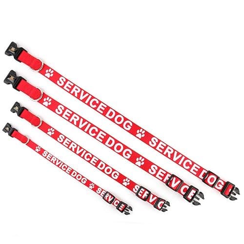 Plutus Pet Service Dog Collar,Printed in Large Letters on Nylon Webbing,Prevents Accidents by Warning Others of Your Dog in Advance,Two Colors,Four Sizes,Neck 14-20 inch,Medium,Red | Adjustable, Heavy Duty with Quick Snap Buckle, for Puppy Small Medium Large Dogs, Red, M thumbnail 4