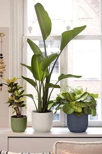 elho Vibes Fold Round 16 - Flower Pot from 100% Recycled Plastic - Indoor Plant Pot - Ø 16.1 x H 14.8 cm - Black/Anthracite thumbnail 8