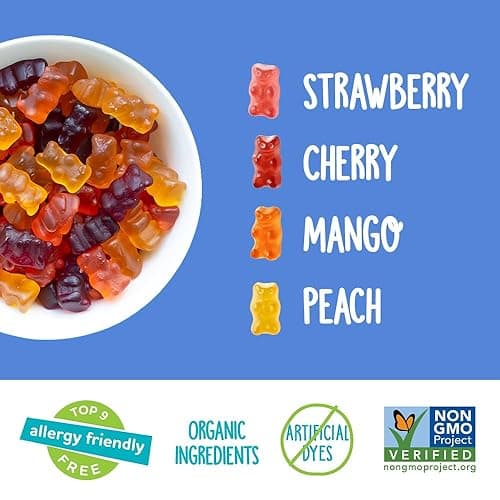 YumEarth Organic Gummy Bears - Fruity Gummy Candy Snack Packs, Gluten Free Snacks for Kids - Allergy Friendly, Non-GMO, No Artificial Flavors or Dyes - Assorted Flavors, 0.7 Oz - 15 Count (Pack of 1) thumbnail 5