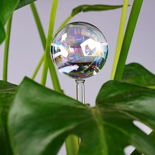 [6 PCS] Light Iridescent Rainbow Gradient Color Clear Glass Self-Watering System Spikes, Automatic Plant Waterer Bulbs thumbnail 7
