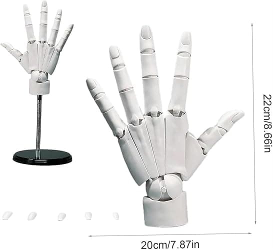 Hand Model, 1:1 Flexible Left And Right Hand Model, Flexible Artist Hand Model, Movable Finger Joints, Home Desk Decoration, Display, Sketching, Drawing, Painting (white, Right Hand)(White,Right hand) thumbnail 3