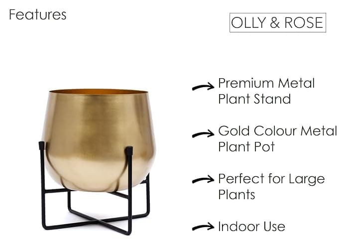 Olly & Rose XL Gold Plant Stand with Plant Pot 28cm 11 Inch - Metal Plant Pots Indoor Planter Large Flower Pot… thumbnail 6