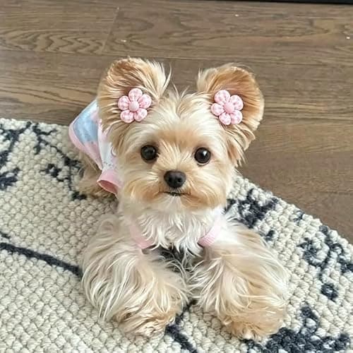 25Pcs Dog Hair Accessories Set for Small Medium Dogs, Flower Bows with Rubber Bands,Dog Hair Clip,Floral Bell Puppy Collar for Boy Girl Pomeranian Yorkie Poodle Maltese Shih Tzu Groomer (Pink) thumbnail 9