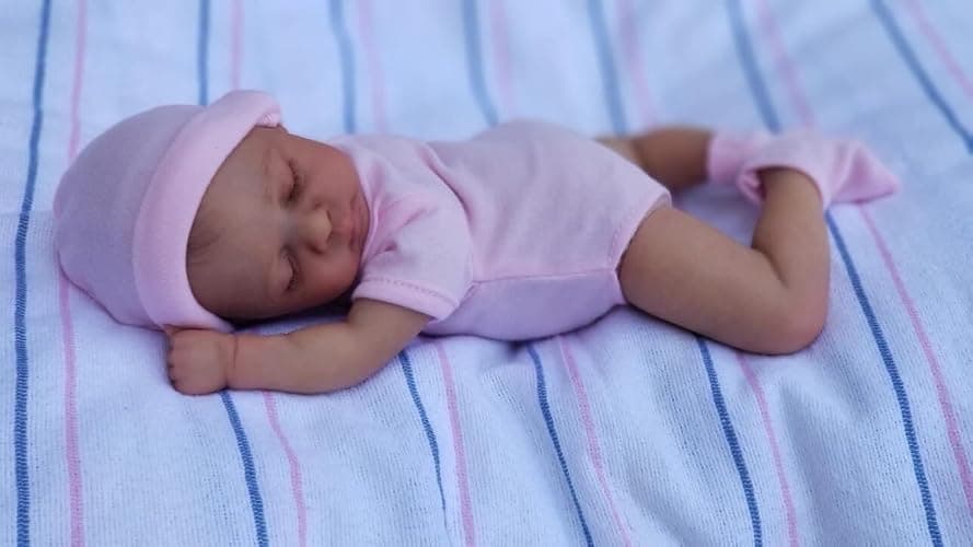 RXDOLL Mini Reborn Baby Dolls Girl Age 3+ 10 Inch Realistic Small Newborn Doll Eyes Closed Lifelike Tiny Silicone Baby That Look Real Cloth Body Vinyl Handmade Baby Doll Toys thumbnail 5