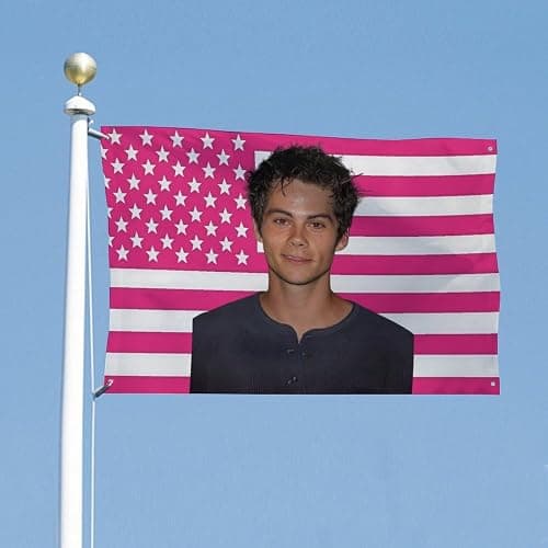 SGYFGJM Dylan O'Brien (1) 24x35 In(60x88cm Decorative Flags Double Stitched with 4 Brass Grommets Hanging Tapestry For Outdoor Indoor Room Decor College Dorm Decoration Style-2 thumbnail 5