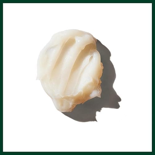 Aveda Brilliant Anti-Humectant Pomade | Helps Prevent Frizz and flyaways | Protects Against Humi 2.5 Ounce thumbnail 8