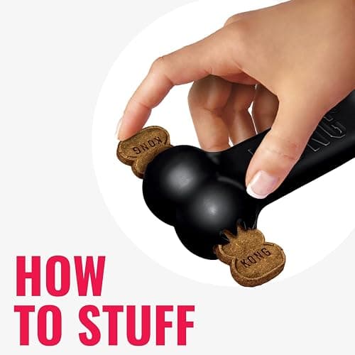 KONG - Extreme Goodie Bone - KONG's Most Durable Natural Rubber Dog Bone for Power Chewers - Black - For Medium Dogs thumbnail 5