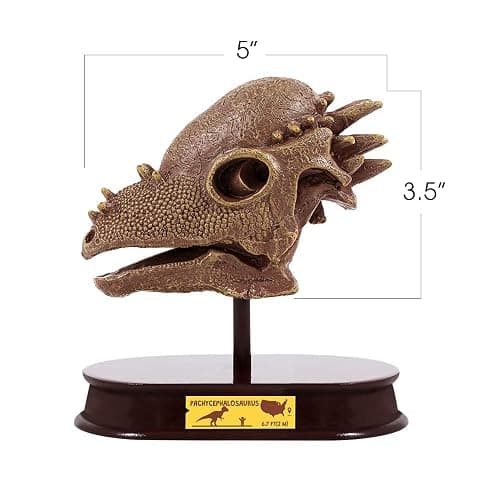 ArtCreativity Dinosaur Excavation Kit for Kids, 5.5” Pachycephalosaurs Skull Excavating Set with Fossil Digging Tools and Stand, Fun Science Activity Toy, Educational Dinosaur Gift for Boys and Girls thumbnail 3