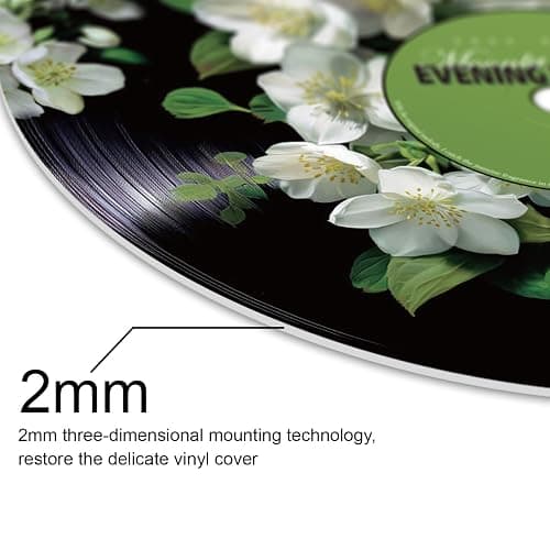 twinklemon 4 Pcs Flower & Grass Theme Vinyl Record Wall Decor, Self Adhesive Fake Music Records Album Posters, Botanical Style Music Wall Art Sticker for Grunge Room Bedroom Decorations thumbnail 4