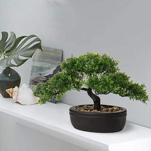 Artificial Bonsai Tree Juniper Faux Plants Indoor Small Fake Plants Decor with Ceramic Pots for Home Table Office Desk Bathroom Shelf Bedroom Living Room Farmhouse Decorations thumbnail 2