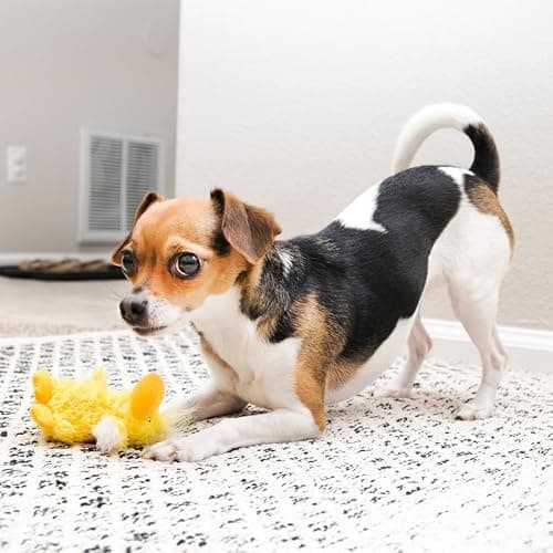 KONG Low Stuffing with Squeaker Dog Toy, X-Small, 3 Animals, Bear, Duck, Frog thumbnail 2