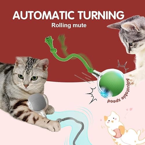 QITELL 2026 New Interactive Cat Toys for Indoor Cats, Kitten Toys to Relieve Boredom for Indoor Cats (Red) thumbnail 5