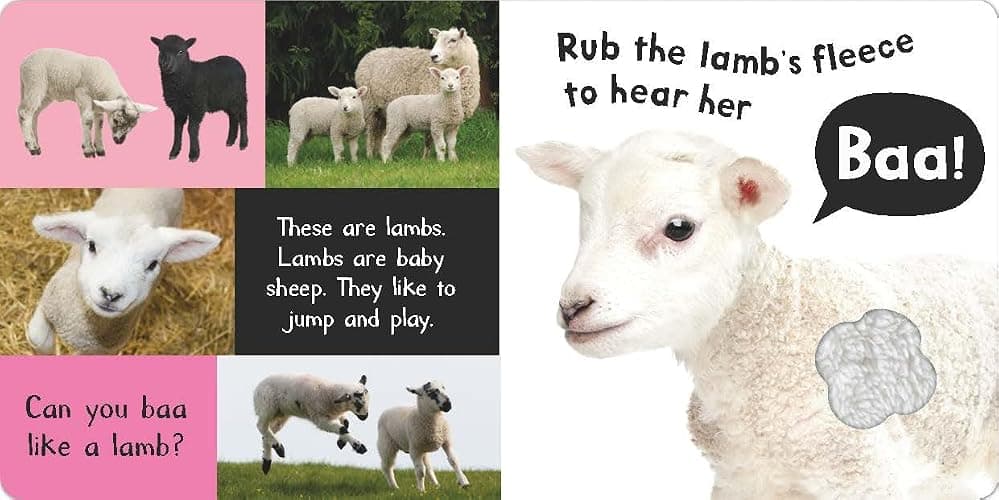Noisy Farm: Includes Six Sounds! (My First) thumbnail 3