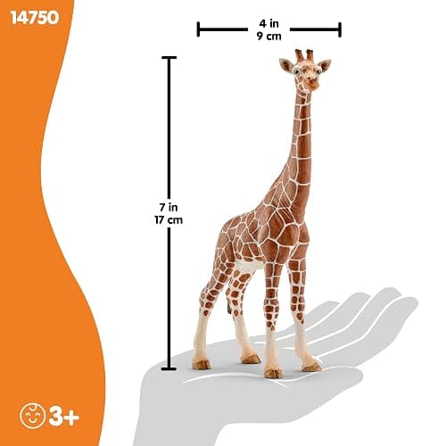 SCHLEICH Wild Life - Realistic 7" Giraffe Animal Toy - Durable Giraffe Figurine for Educational Screen-Free Play - African Safari Wildlife Rescue Animal Figure - Boys and Girls 3+ | 14750 thumbnail 3