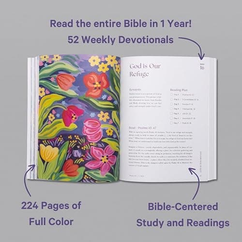 A Beautiful Year in the Bible: The 52-Week Bible Study for Women (SC) thumbnail 2