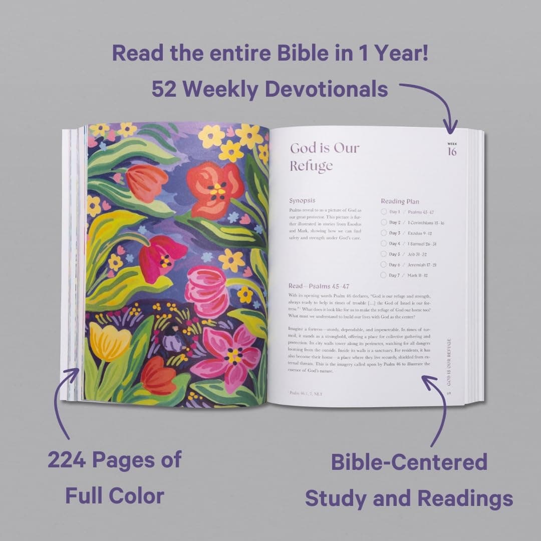 A Beautiful Year in the Bible: The 52-Week Bible Study for Women (Sc) thumbnail 2