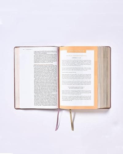 NBLA, Santa Biblia, Ama a Dios Grandemente, Interior a cuatro colores Leathersoft, Oro Rosa, Comfort Print (Spanish Edition) thumbnail 6