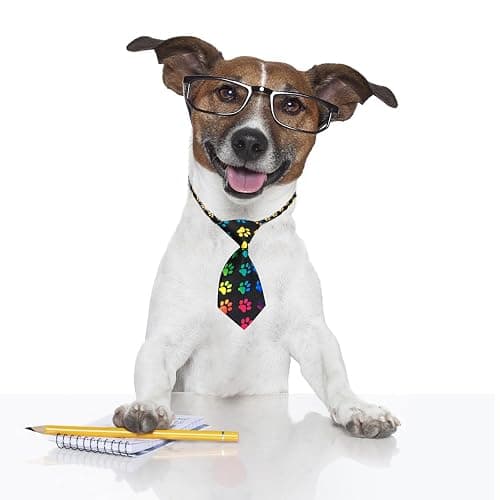 PET SHOW 10pcs Pack Paw Small Dog Ties Neckties for Doggies Cats Adjustable Holiday Birthday Grooming Accessories Neck Ties Bowties Girl Boy Festival Wedding Costumes Puppies Photography Party Gift thumbnail 6
