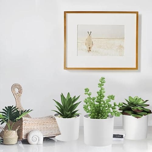 Hopewood Succulent Plants Artificial in White Pots Small Faux Potted Succulents Fake Plants in Vase Set of 3 thumbnail 9