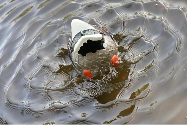 Mojo Outdoors Mojo Butt Up Rippler, Mallard thumbnail 4