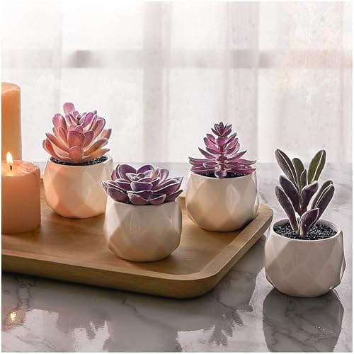 CADNLY Fake Succulent Plant Set - Artificial Desk Plants for Women Desk - Realistic Faux Succulents in Ceramic Pots - Mini Purple Decor for Bedroom Bathroom Office Shelf 4 Pack thumbnail 9