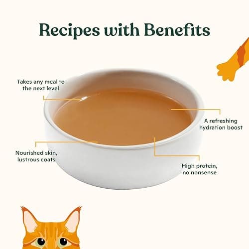 Made by Nacho Bone Broth Cat Food Topper for Hydration and Picky Eaters - Add Protein and Flavor to Your Dry Cat Food – Supports Optimal Nutrition, Digestion, Skin & Coat, 11 oz. Turkey thumbnail 3