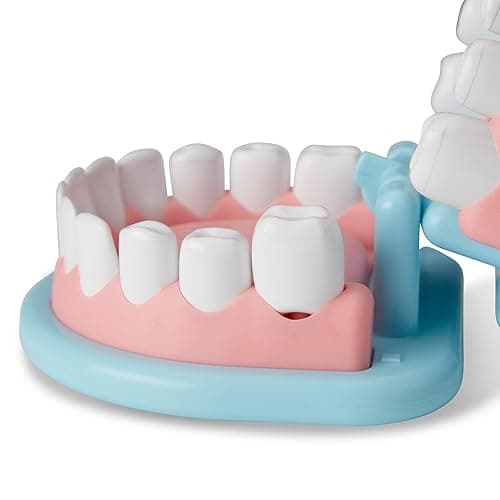 Melissa & Doug Super Smile Dentist Kit with Pretend Play Set of Teeth and Dental Accessories (25 Toy Pieces) Pretend Dentist Play Set, for Kids Ages 3+ thumbnail 5