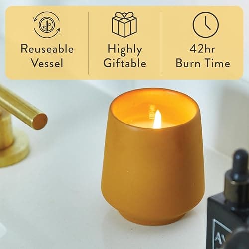 Modern Sprout Rooted Candle - 2 in 1 Scented Cedarwood 6 oz Christmas Soy Candle with Lavender Plant Seeds, 42 hr Burn Time in Matte Glaze Ceramic Vessel, Indoor Herb Garden Kit, Holiday Gift & Decor thumbnail 4