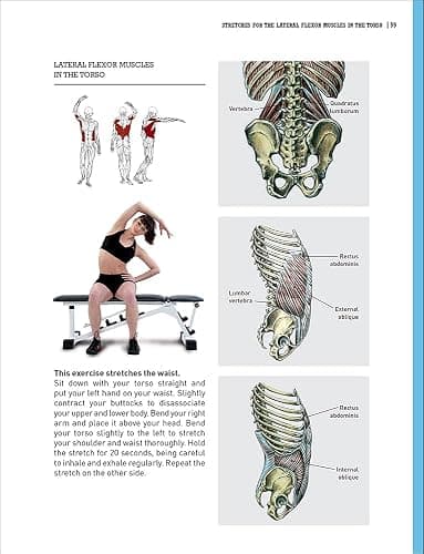Delavier's Stretching Anatomy thumbnail 4