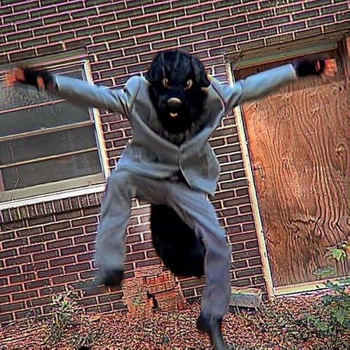 oneandonlycostumes black dog fursuit head and tail regulated jaw, furry head thumbnail 4