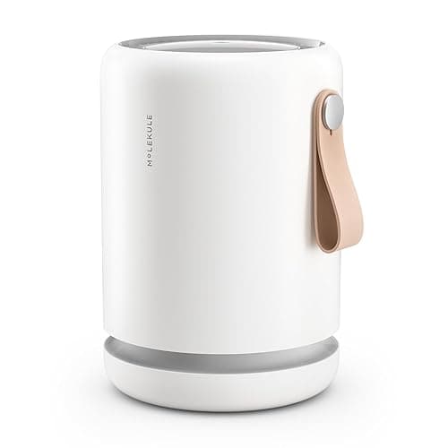 Molekule Air Purifier Mini+