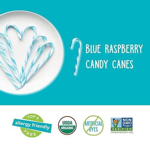 YumEarth Organic Candy Canes - Individually Wrapped Full Size Blue Raspberry Candy Canes - Dye Free, Allergy Friendly, Non GMO, Gluten Free, Vegan - 10 Count (Pack of 1) thumbnail 4