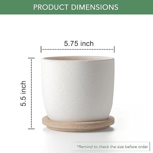 POITONRU Ceramic Flower Pots Indoor-Outdoor: 5.75 Inch Planters with Drainage Holes & Saucer - Modern Decorative Plant Pots Ceramic for Home Gardeners (White) thumbnail 3