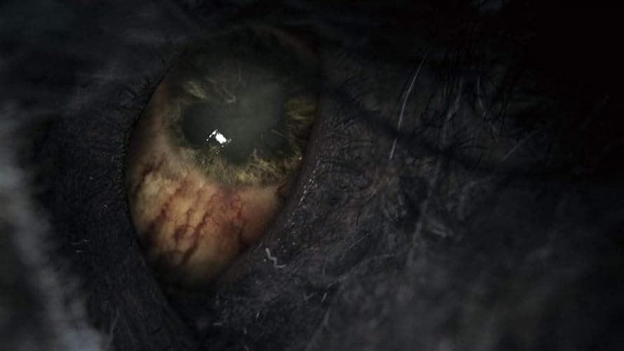 Bloodborne PS4 Game of the Year Edition thumbnail 12