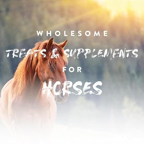 NutriGood Senior Snax Horse Treats - Apple Flavor Baked Easy-Chew Equine Snack with Glucosamine, Omega-3 & Biotin for Joint, Hoof & Coat Support (Senior Horses) – 2 lb Bag thumbnail 4