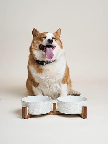Dog Bowls Ceramic for Small Medium Dogs - 3-Cup Dual Food & Water Bowl Set with Acacia Wood Stand, Non-Slip Anti-Tip Elevated Design thumbnail 5