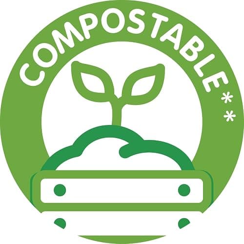 Spontex Carréponge | Éponges Plates Résistantes et Flexibles pour Vaisselle et Cuisine, sans Traces | Lot de 4 thumbnail 5
