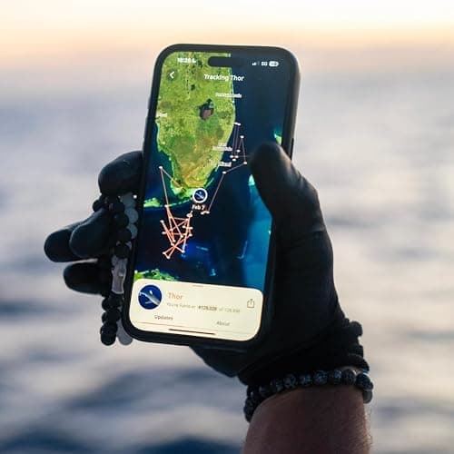Fahlo Shark Tracking Bracelet – Track a Real Shark’s Journey – Supports Wildlife Conservation – Elastic, One Size Fits Most – on Interactive Mobile App Map – Unisex Ocean Conservation Gift thumbnail 2