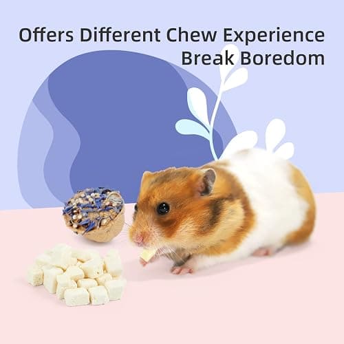 Niteangel Hamster Snack & Treats Toy - Small Animal Natural Treat Mix for Dwarf Syrian Robo Hamsters Gerbils Mice Lemmings Degus or Other Small-Sized Pets (Walnut-Shell Boat) thumbnail 2