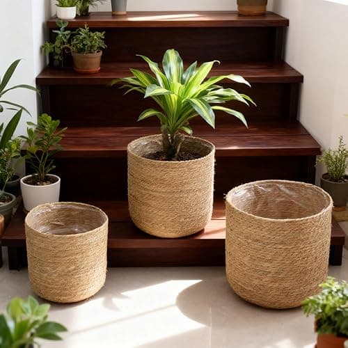 PotSonntag 14 inch Large Seagrass Woven Planter Basket - Wicker Planter Basket with Plastic Film Insert for Indoor Plants, Large Monstera Pot, Woven Storage Basket, Boho Home Decor (Large) thumbnail 4