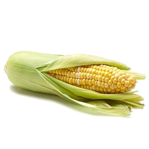 Bi-Color Corn - Image 1