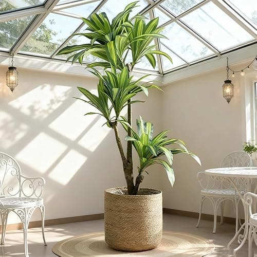 PotSonntag 14 inch Large Seagrass Woven Planter Basket - Wicker Planter Basket with Plastic Film Insert for Indoor Plants, Large Monstera Pot, Woven Storage Basket, Boho Home Decor (Large) thumbnail 3