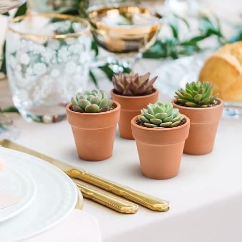 Succulent Plants (4 Pack), Live Succulents Fully Rooted in 2" Grower Pots, Unique Potted House Plant for DIY, Home Decor, Wedding Party Favor (Common Varieties) - Common Varieties thumbnail 4