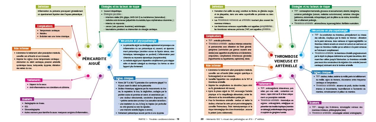 Mémento 100% visuel des pathologies IFSI: 160 cartes mentales colorées pour mémoriser facilement les pathologies au programme des études infirmières thumbnail 5