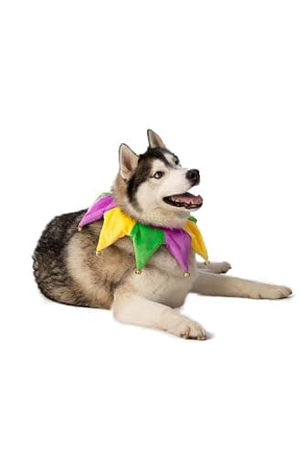 ComfyCamper Dog Mardi Gras Neckpiece Collar Costume - XS Small Medium XL XXL Bandana Cosplay Halloween Costumes, M thumbnail 3