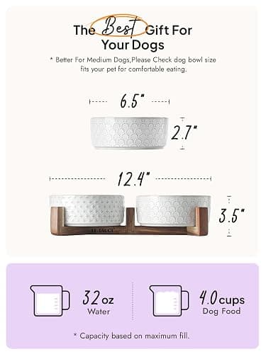 Dog Bowls Ceramic for Small Medium Dogs - 3-Cup Dual Food & Water Bowl Set with Acacia Wood Stand, Non-Slip Anti-Tip Elevated Design thumbnail 3