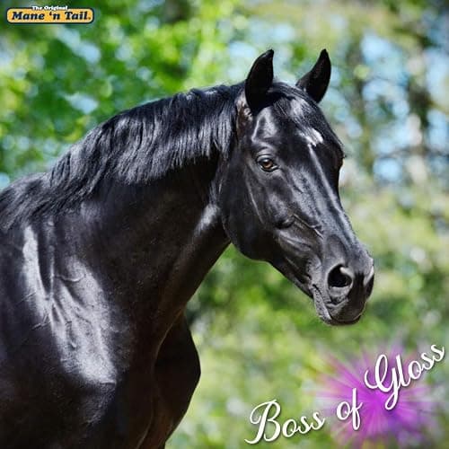 Mane 'n Tail Ultimate Gloss Combo Set for The Ultimate Long Lasting Shine thumbnail 6
